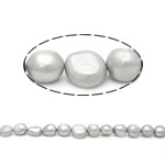 Perles nacres baroques de culture d'eau douce , perle d'eau douce cultivée, gris, Niveau AA, 12-16mm, Trou:Environ 0.8mm, Vendu par 15 pouce brin