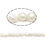 Barocco coltivate in acqua dolce Perla, perla d'acquadolce coltivata naturalmente, bianco, Grade AA, 12-16mm, Foro:Appross. 0.8mm, Venduto per 15 pollice filo