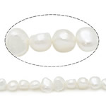 Barock odlad sötvattenspärla pärlor, Freshwater Pearl, vit, Grade A, 8-9mm, Hål:Ca 0.8mm, Såld Per 14.5 inch Strand