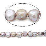 Perles nacres baroques de culture d'eau douce , perle d'eau douce cultivée, violet clair, grade A, 10-11mm, Trou:Environ 0.8mm, Vendu par 15 pouce brin