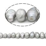Barocco coltivate in acqua dolce Perla, perla d'acquadolce coltivata naturalmente, grigio, Grade AA, 11-15mm, Foro:Appross. 0.8mm, Venduto per 15 pollice filo