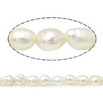 Cultured Rice Freshwater Pearl Beads natural white Grade A 3-3.5mm Approx 0.8mm Sold Per 15 Inch Strand