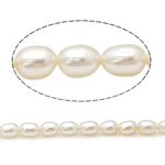 Cultured Rice Freshwater Pearl Beads natural white Grade A 3.8-4.2mm Approx 0.8mm Sold Per 15 Inch Strand