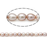 Cultured Rice Freshwater Pearl Beads natural pink Grade A 3.8-4.2mm Approx 0.8mm Sold Per 15 Inch Strand