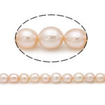Cultured Rice Freshwater Pearl Beads, natural, pink, Grade A, 6mm, Hole:Approx 0.8mm, Sold Per 15 Inch Strand