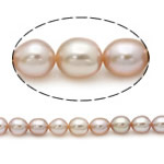 Cultured Rice Freshwater Pearl Beads natural pink Grade A 6-7mm Approx 0.8mm Sold Per 15 Inch Strand