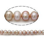Barock odlad sötvattenspärla pärlor, Freshwater Pearl, purpur, Grade AA, 5mm, Hål:Ca 0.8mm, Såld Per 15 inch Strand