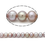 Barock odlad sötvattenspärla pärlor, Freshwater Pearl, purpur, Grade AA, 6mm, Hål:Ca 0.8mm, Såld Per 15 inch Strand