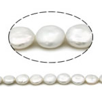 Coin Kulturan Slatkovodni Pearl perle, ocjena AA, 12-13mm, Rupa:Približno 0.8mm, Prodano Per 15 inčni Strand