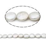 Coin Kulturan Slatkovodni Pearl perle, Novčić, bijel, ocjena AA, 14-15mm, Rupa:Približno 0.8mm, Prodano Per 15 inčni Strand