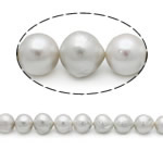 Barokna Kulturan Slatkovodni Pearl perle, siv, 15-18mm, Rupa:Približno 0.8mm, Prodano Per 15 inčni Strand