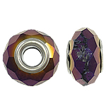 Perles de cristal European , rondelle, noyau double en argent sans filetage, couleur métallique plaquée, 14x8mm, Trou:Environ 5mm, 20PC/sac, Vendu par sac
