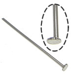 Stainless Steel Headpins, 304 Stainless Steel, original color, 0.6x20mm, 1.6x2.2mm, Approx 20000PCs/KG, Sold By KG