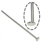 Stainless Steel Headpins, 304 Stainless Steel, original color, 0.6x38mm, 1.6x1.9mm, Approx 8333PCs/KG, Sold By KG