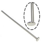 Stainless Steel Headpins, 304 Stainless Steel, original color, 0.6x40mm, 1.5x2mm, Approx 10000PCs/KG, Sold By KG