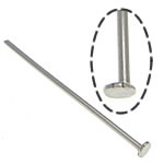 Stainless Steel Headpins, 304 Stainless Steel, original color, 0.6x45mm, 1.5x2mm, Approx 6667PCs/KG, Sold By KG