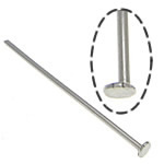 Stainless Steel Headpins, 304 Stainless Steel, original color, 0.6x50mm, 1.8x2.2mm, Approx 9000PCs/KG, Sold By KG
