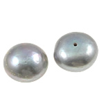 Cultured Half Drilled Freshwater Pearl Beads Round natural half-drilled grey Grade AA 13-14mm Approx 0.8mm Sold By Bag