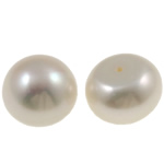 Cultured Half Drilled Freshwater Pearl Beads Dome natural half-drilled white Grade AA 13-14mm Approx 0.8mm Sold By Pair