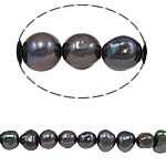 Barock kultivierten Süßwassersee Perlen, Natürliche kultivierte Süßwasserperlen, schwarz, 5-6mm, Bohrung:ca. 0.8mm, verkauft per 14.5 ZollInch Strang