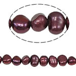 Barock odlad sötvattenspärla pärlor, Freshwater Pearl, lila röd, 6-7mm, Hål:Ca 0.8mm, Såld Per 14 inch Strand