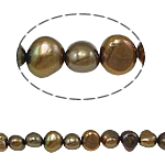 Barocco coltivate in acqua dolce Perla, perla d'acquadolce coltivata naturalmente, color caffè, 6-7mm, Foro:Appross. 0.8mm, Venduto per 14.5 pollice filo