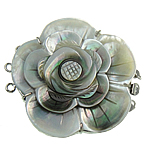 Shell Box Clasp with Brass Flower Approx 2mm Sold By PC