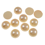 Plastic Cabochons Dome yellow Sold By Bag