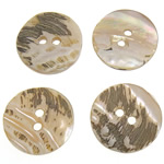 Bouton Shell, coquille d'ormeau, pièce de monnaie, 18x18x1.5-2mm, Trou:Environ 2mm, 500PC/sac, Vendu par sac