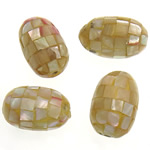 Natürliche gelbe Muschelperlen, oval, gelb, 18-20x12.5mm, Bohrung:ca. 2mm, 10PCs/Tasche, verkauft von Tasche