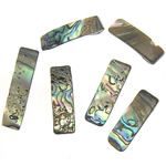 Natural Abalone Shell Pendants, Rectangle, 8-9x24-31x4-5mm, Hole:Approx 0.5mm, 100PCs/Bag, Sold By Bag