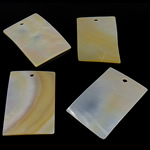 Pendentifs de coquillage jaune naturel, coquille jaune, rectangle, Jaune, 26x40x1.5-2mm, Trou:Environ 3mm, 20PC/sac, Vendu par sac