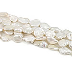 Płaskie koraliki z hodowlanych pereł słodkowodnych, Perła naturalna słodkowodna, biały, klasy AAA, 12-15mm, otwór:około 0.8mm, sprzedawane na 15.5 cal Strand