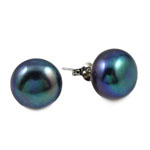 Boucles d'oreilles en perles d'eau douce, perle d'eau douce cultivée, laiton puce boucle d'oreille, bouton, couleur bleu foncé, 11-12mm, Vendu par paire