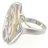 Shell Finger Rings, with Freshwater Shell & Brass, Flat Round, 22x27mm, Hole:Approx 17mm, US Ring Size:7, 15PCs/Bag, Sold By Bag