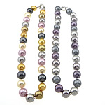 South Sea Shell náhrdelník, mosaz jarní prsten spona, Kolo, smíšené barvy, 14mm, Délka Cca 18 inch, 3přediva/Bag, 32PC/Strand, Prodáno By Bag
