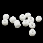 Ogenomskinligt glas Seed Beads, Glass Seed Beads, Rund, färg, vit, 3x3.60mm, Hål:Ca 1mm, Säljs av Bag