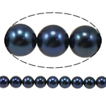 Runde ferskvandskulturperle Beads, Ferskvandsperle, naturlig, sort, Grade AA, 7-8mm, Hole:Ca. 0.8mm, Solgt Per 15 inch Strand