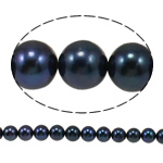 Perles de nacre rondes de culture d'eau douce, perle d'eau douce cultivée, naturel, noire, Niveau AA, 8-9mm, Trou:Environ 0.8mm, Vendu par 15 pouce brin
