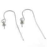 Stainless Steel Hook Earwire, with loop, original color, 17.2x9.2mm, 6.5x3x0.8mm, 50Pairs/Bag, Sold By Bag
