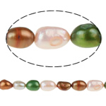 Perles nacres baroques de culture d'eau douce , perle d'eau douce cultivée, couleurs mélangées, 8-9mm, Trou:Environ 0.8mm, Vendu par 15 pouce brin