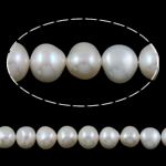 Barocco coltivate in acqua dolce Perla, perla d'acquadolce coltivata naturalmente, bianco, AAA Grade, 10-11mm, Foro:Appross. 0.8mm, Venduto per 15.5 pollice filo