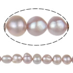 Barocco coltivate in acqua dolce Perla, perla d'acquadolce coltivata naturalmente, viola, Grade AA, 10-11mm, Foro:Appross. 0.8mm, Venduto per 15.5 pollice filo
