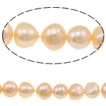 Perles nacres baroques de culture d'eau douce , perle d'eau douce cultivée, rose, grade A, 10-11mm, Trou:Environ 0.8mm, Vendu par 15 pouce brin
