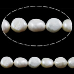 Barok ferskvandskulturperle Beads, Ferskvandsperle, lilla, klasse A, 10-11mm, Hole:Ca. 0.8mm, Solgt Per 15 inch Strand