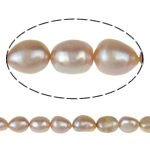 Perles nacres baroques de culture d'eau douce , perle d'eau douce cultivée, violet, Niveau AA, 9-10mm, Trou:Environ 0.8mm, Vendu par 15.5 pouce brin