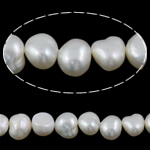 Barock odlad sötvattenspärla pärlor, Freshwater Pearl, vit, Grade A, 9-10mm, Hål:Ca 0.8mm, Såld Per 14.5 inch Strand