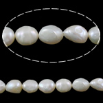 Barock odlad sötvattenspärla pärlor, Freshwater Pearl, vit, Grade A, 9-10mm, Hål:Ca 0.8mm, Såld Per 15 inch Strand