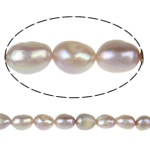 Perles nacres baroques de culture d'eau douce , perle d'eau douce cultivée, violet, grade A, 9-10mm, Trou:Environ 0.8mm, Vendu par 15 pouce brin