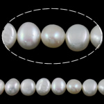 Perles nacres baroques de culture d'eau douce , perle d'eau douce cultivée, blanc, Niveau AA, 8-9mm, Trou:Environ 0.8mm, Vendu par 15.3 pouce brin